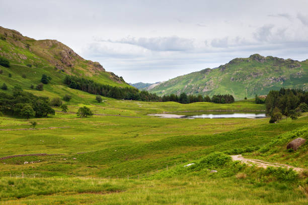 istock Lake District National Park, Northern England 817767056