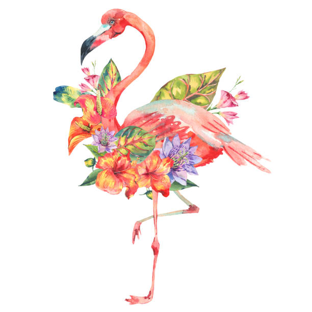 istock Watercolor pink flamingo and tropical flowers 817781630