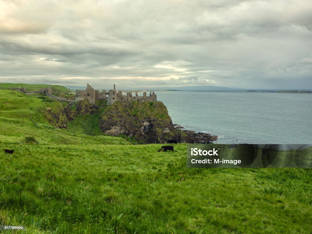 Ruin of Dunluce Castle,Northern Ireland Ancient Stock Photo