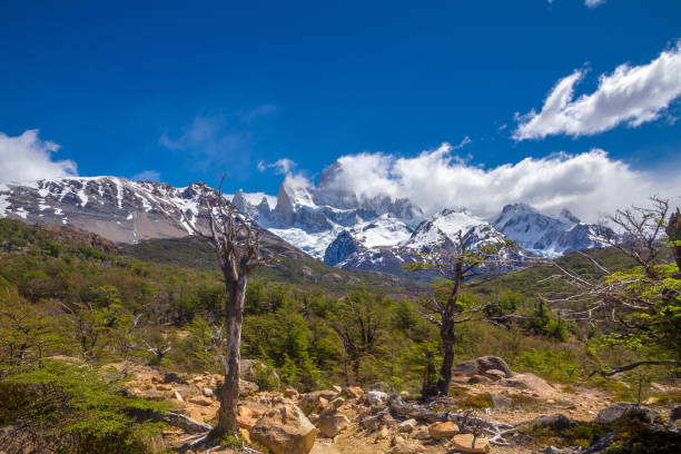 istock Landscape with trees, green grass and beautiful snow covered mountains on the back. 817791004