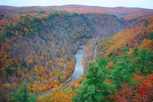 Allegany State Park of the fall