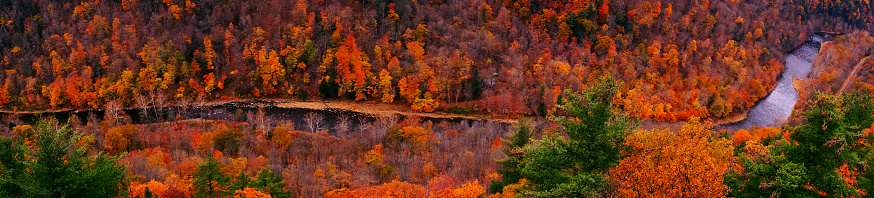 Allegany State Park of the fall