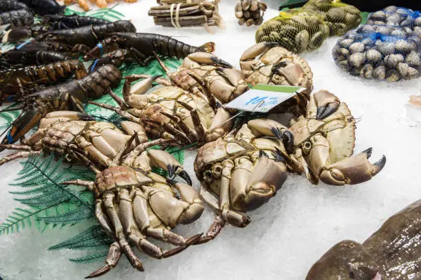 Photo of Live crabs on stand in La Boqueria Market, Barcelona