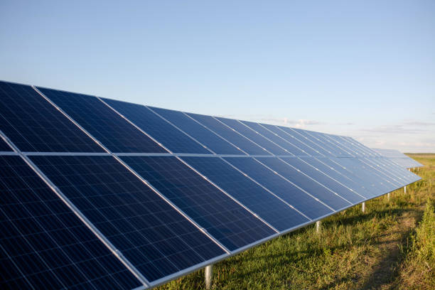 istock Solar cell panels in the field. 817838198