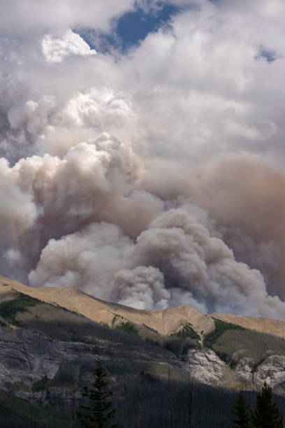 istock Forest Fire Smoke on Mount Shank in Kootenay National Park 817841662