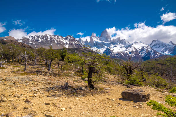 istock Sandy landscape with dry trees, green grass and beautiful snow covered mountains on the back. 817842010