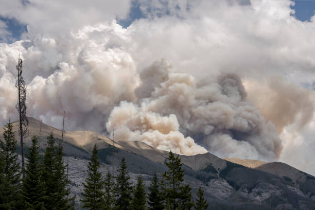 bosque fuego humo en el vástago de montaje en el parque nacional kootenay - wildfire smoke fotografías e imágenes de stock
