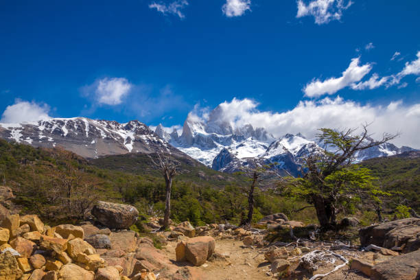 istock Sandy landscape with dry trees, green grass and beautiful snow covered mountains on the back. 817843924