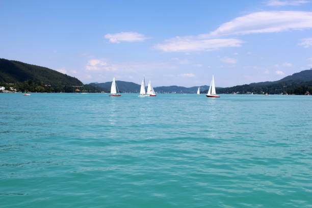 istock yachts with white sails on the big lake 817844612