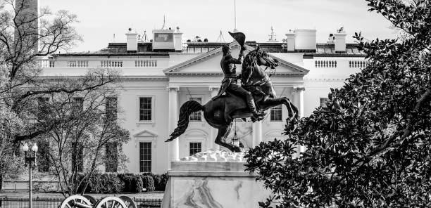 istock The White House in Washington DC - view from Lafayette Square - 817849604