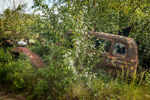 istock Antique cars in a field 817901638