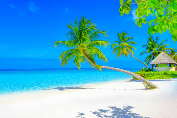 istock Dreamscape Escape On Maldives 817913840