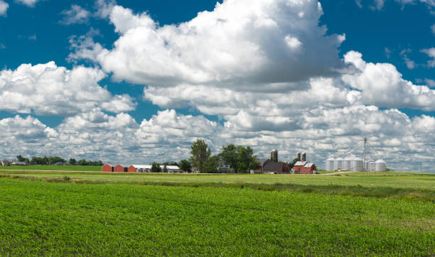 istock Big field on a cloudy day in Milwaukee 817913952