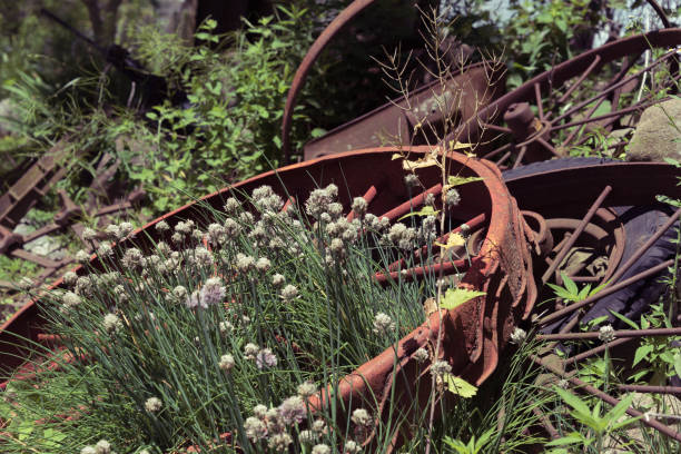 istock Big old rusted carriage wheels on the ground 817914572