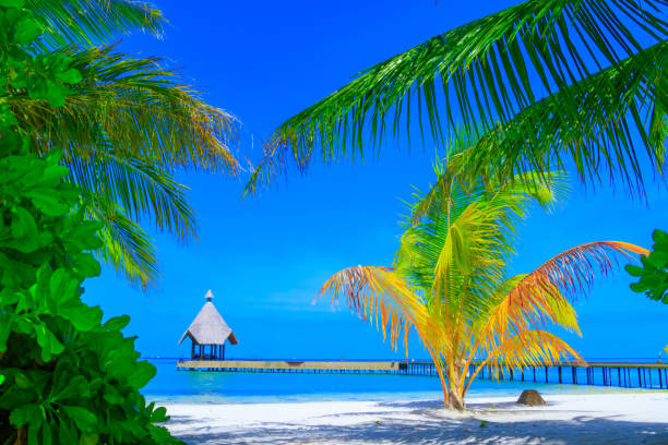 istock Dreamscape Escape On Maldives 817919758