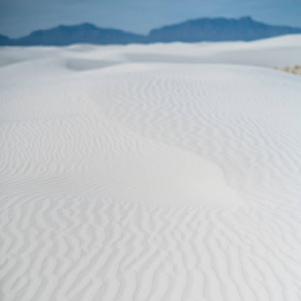 istock White Sands national monument, New Mexico 817927996