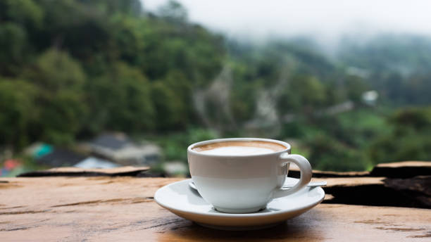 istock Hot coffee cappuccino cup with milk foam on wood table. 817933720