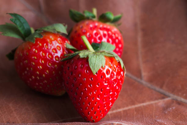Strawberries on dried  leave background , bleed Royal Queen but in chiang mai thailand call 80