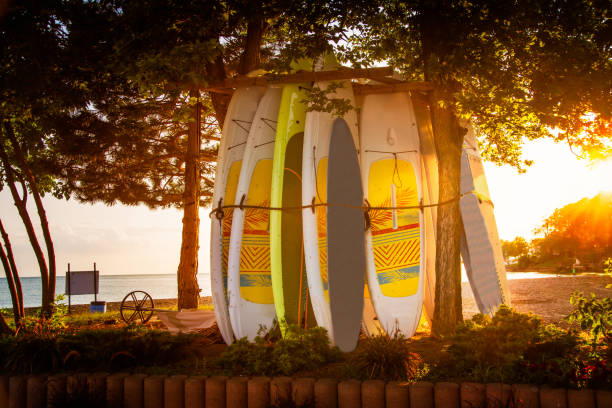 Paddle boards and water sports on Lake Erie in Ontario.
