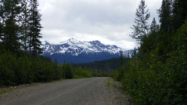 istock Wilderness Backcountry roads 818090246