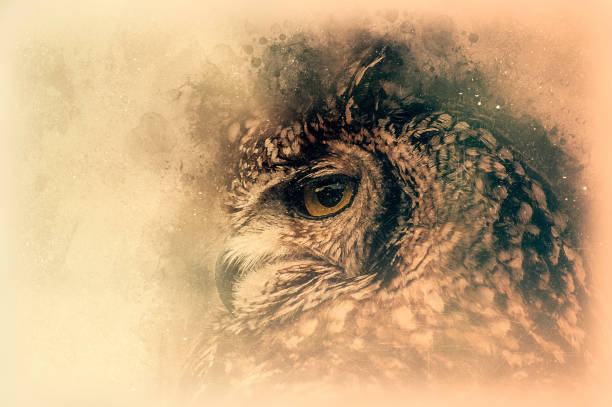 istock The Bengal Eagle-Owl sketch. Digital illustration 818091924