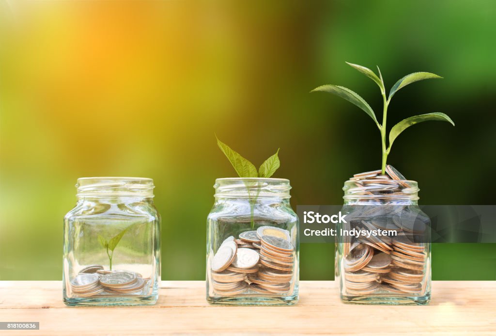 Conceptual coins in glass bottle and growing tree on nature background,Business investment growth concept Growth Stock Photo