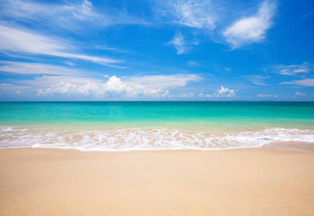 istock beach and tropical sea 818115798
