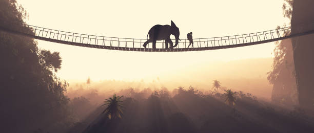istock Man and an elephant crossing over a rope bridge 818116072