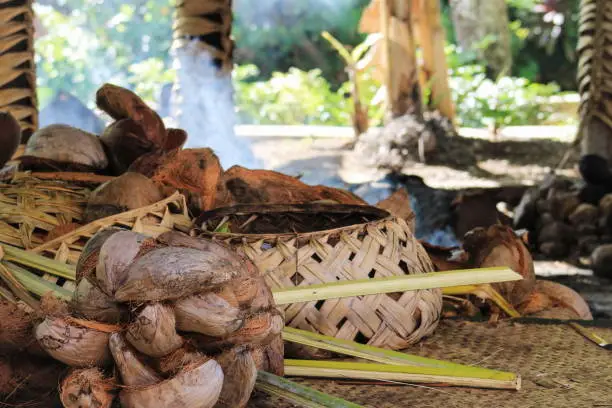 A traditional Samoan cooking area inside a hut with woven baskets and coconuts ready to prepare.