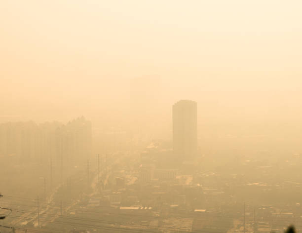 istock Cityscape in fog 818162010