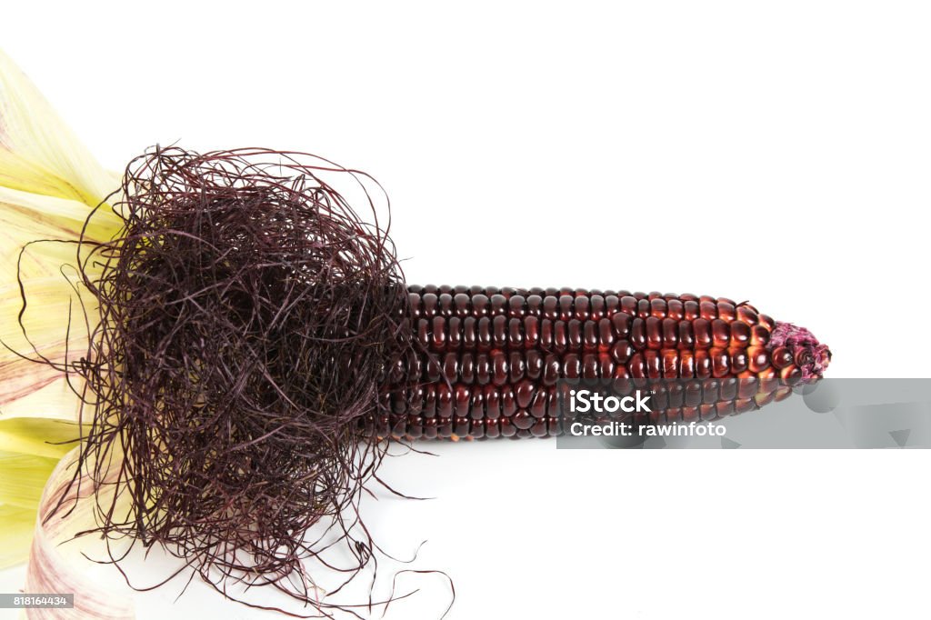 Corn shape of a penis Corn shape of a penis and penis hair on white background Hair Stock Photo