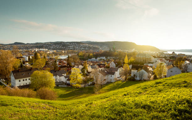 istock Panorama of Trondheim 818353954