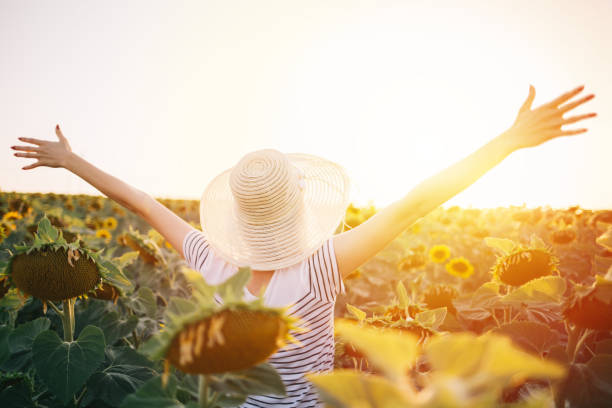 istock Greeting to the sun 818359104
