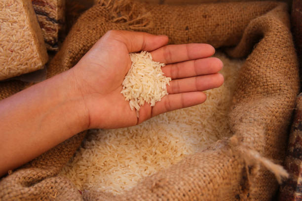 istock rice in woman hand with sack background 818369072