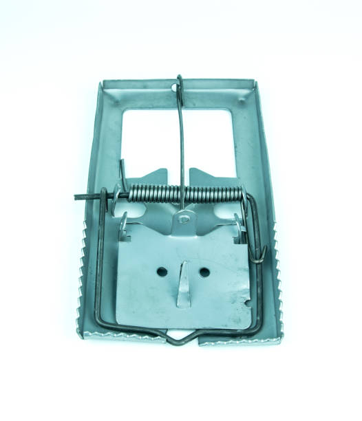 istock Metal mousetrap on white background 818378448