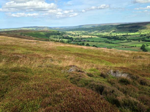 istock View From Pike Hill Glaisdale towards the Coast 818409468