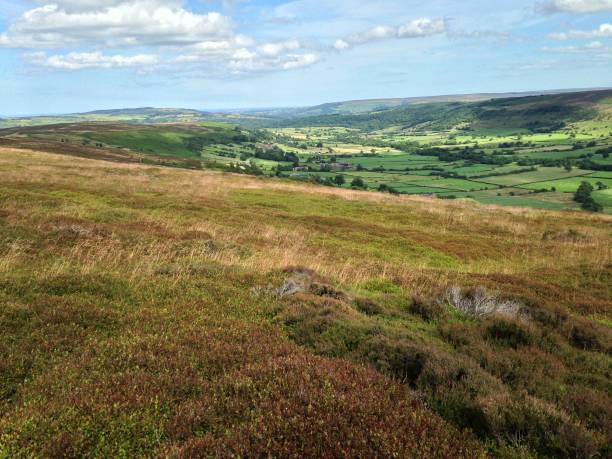 View From Pike Hill Glaisdale towards the Coast Glaisdale, North York Moors, North Yorkshire, England, UK, 16th July 2017. mcdermp stock pictures, royalty-free photos & images