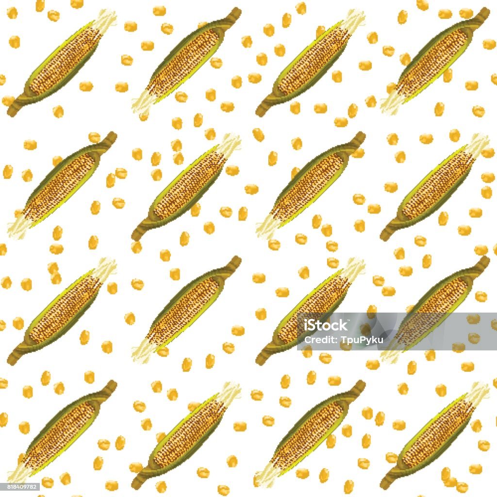Maize Pattern Corn Maize Vector Seamless Pattern Realistic Botanical Illustration ...