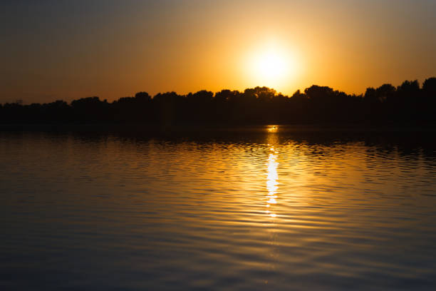 istock Sunset at water pond. Nature landscape background 818420574