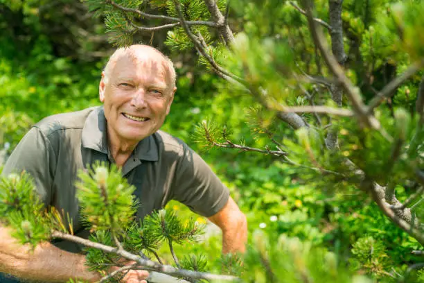 happy fit senior man looking through mountain pines on sunny summer hiking day