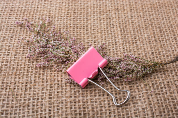 istock Colorful clip placed on  linen canvas 818517680