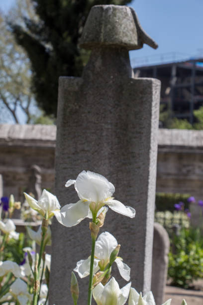 istock Old stone on the graves in Istanbul 818527452