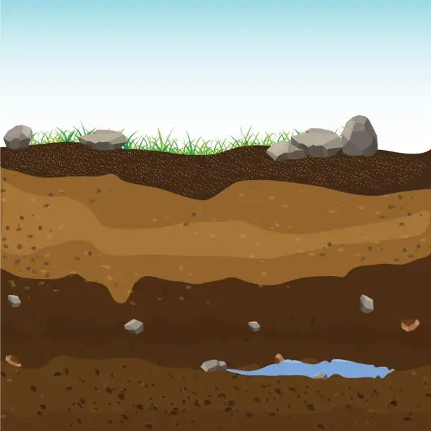 Vector illustration of Underground layers of earth, groundwater,layers of grass.Vector Illustration.