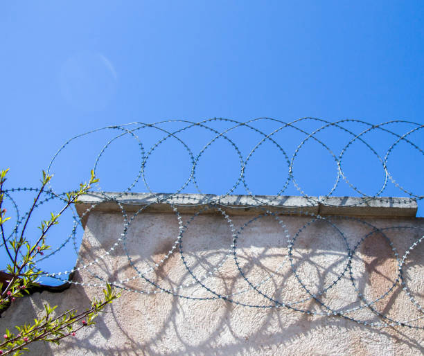 istock barbed fence  for protection purposes 818533610