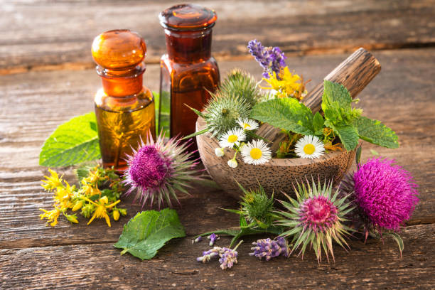Tincture bottles and healing herbs Tincture bottles and healing herbs in mortar on wooden table. Herbal medicine. Medicinal plants aromatherapy oil photos stock pictures, royalty-free photos & images