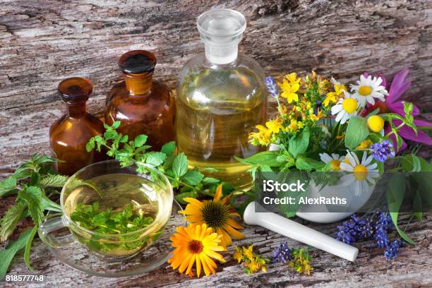 Cup Of Herbal Tea With Medicinal Bottles And Healing Herbs In Mortar Stock Photo - Download Image Now