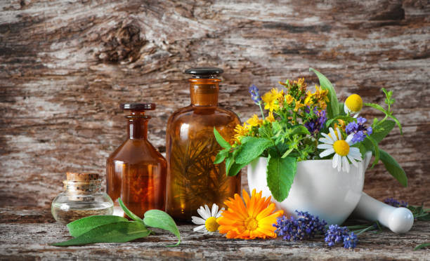 medicina herbal. plantas medicinales - mortar and pestle lavender chamomile herb fotografías e imágenes de stock
