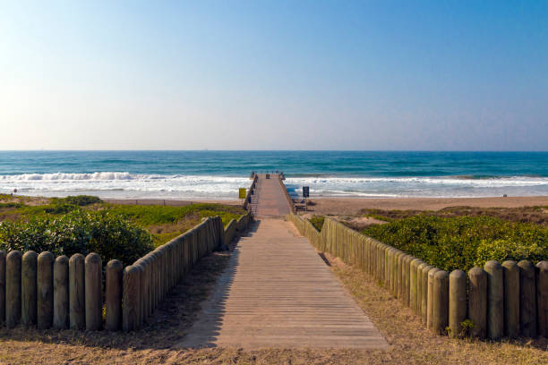 istock Wooden Walkway Through Dune Vegetation Pxtending onto pier 818617228