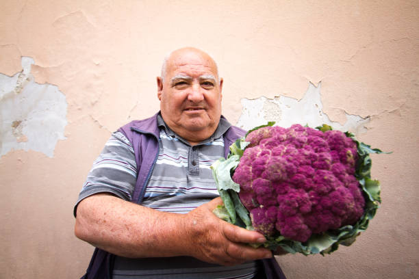scicli, sicile : grand fermier vend gros chou-fleur violet - purple cauliflower photos et images de collection