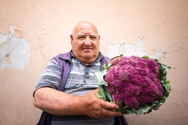 scicli, sicily: large farmer sells large purple cauliflower - scicli imagens e fotografias de stock